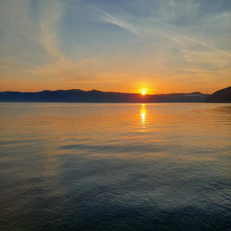 Vila Memphis Golubac Buitenkant foto